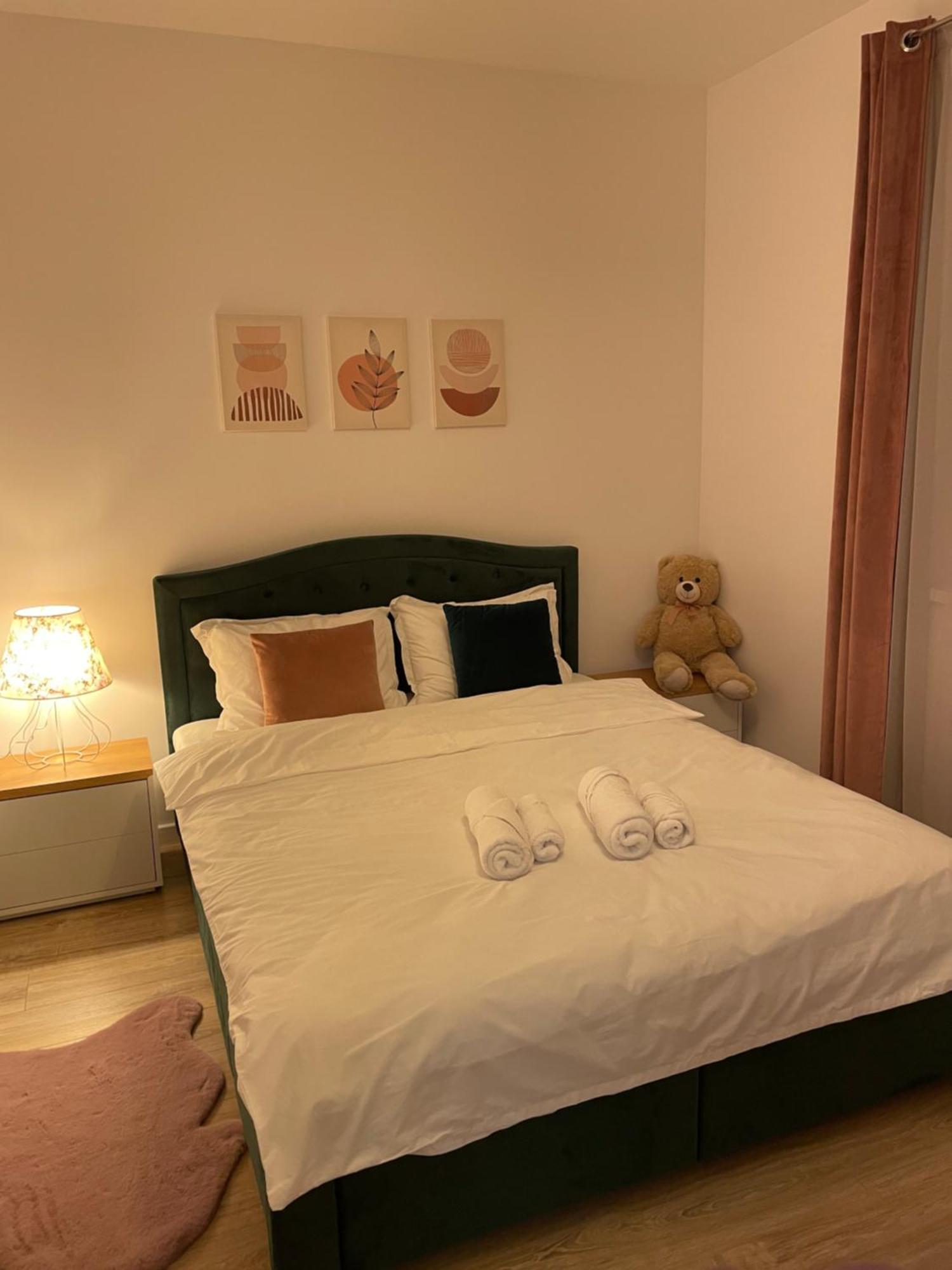 Negruzzi Apartment Dumbravita  المظهر الخارجي الصورة