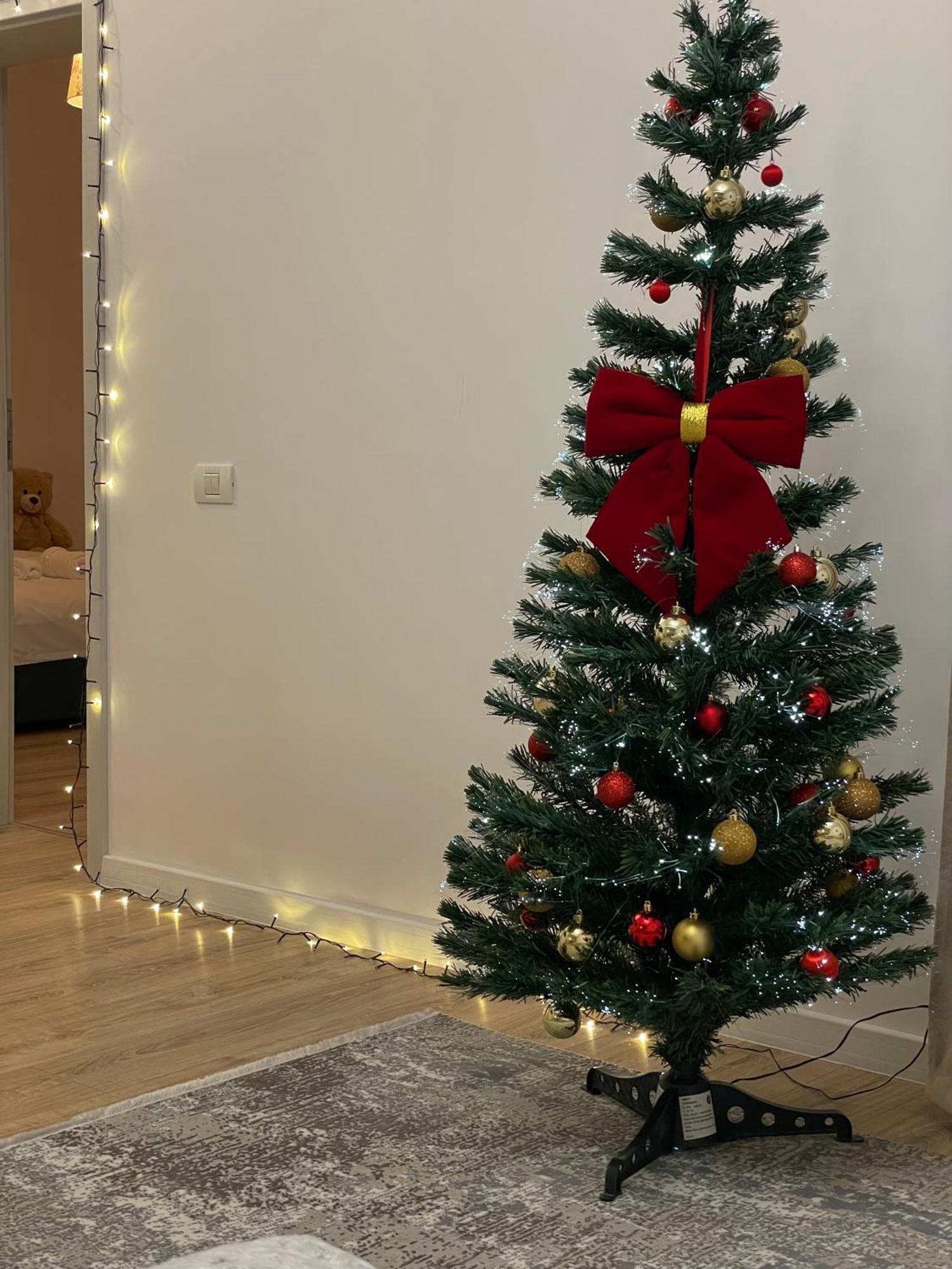 Negruzzi Apartment Dumbravita  المظهر الخارجي الصورة